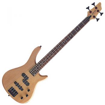 Bass Guitars