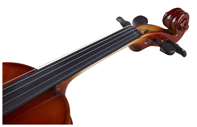 Stagg 4/4 Maple Violin with StandardShaped SoftCase Sound Of Ministry