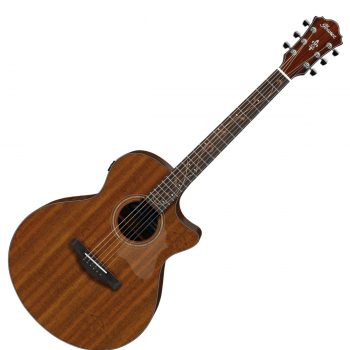 Ibanez AE295-LGS Acoustic-Electric Guitar