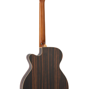 Alternative view of Tanglewood TRU4CE AE Reunion - Super Folk Figured Ebony Guitar w/ Pickup + Bag
