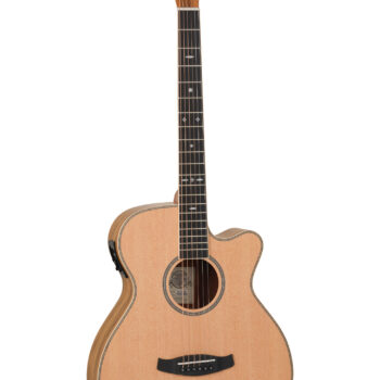 Tanglewood TRU4CE PW Reunion - Super Folk Acoustic Guitar w/ Pickup + Bag (Solid Spruce)