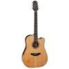 Takamine GD20CE-NS - Dreadnaught Acoustic Guitar (Natural Satin)