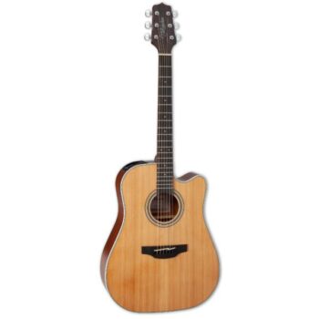 Takamine GD20CE-NS - Dreadnaught Acoustic Guitar (Natural Satin)