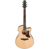 Ibanez AAM300CE-NT - Advanced Acoustic Guitar w/ Pickup (Natural)