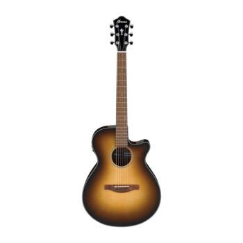 Ibanez AEG50-DHH - Acoustic Guitar with Pickup