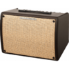 Ibanez Troubadour T30II - 30W Acoustic Guitar Amplifier