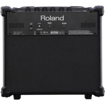 Roland CUBE-10GX - 1x8" 10W Guitar Amplifier